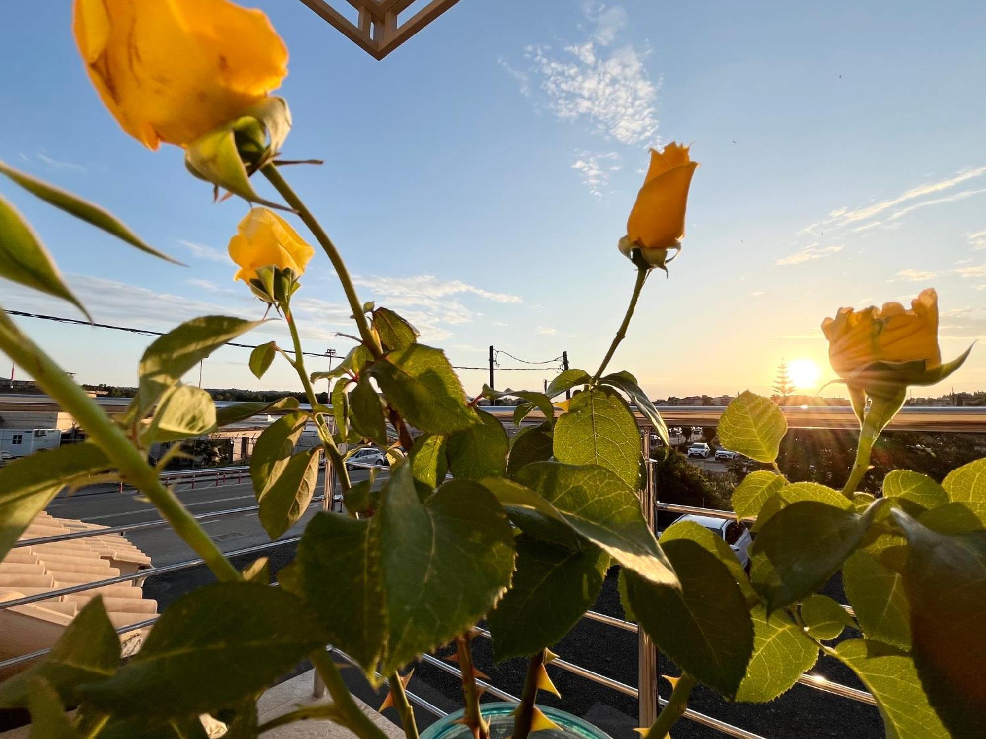 Corfu Airport Sweet Studio Exterior photo